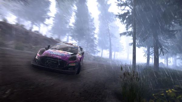 图片[2]-WRC世代/WRC Generations – The FIA WRC Official Game-畅玩游戏资源库